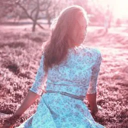 bright-1440687_1280