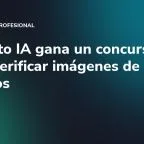 Una foto IA gana un concurso: cómo verificar imágenes de usuarios