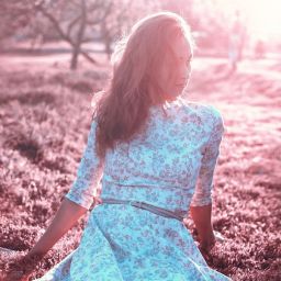 bright-1440687_1280