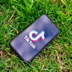 tiktok-5323006_1280